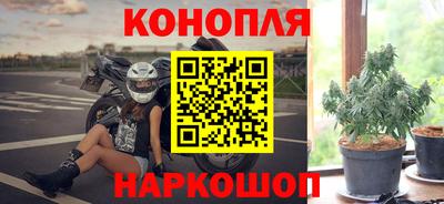 крисы Бузулук