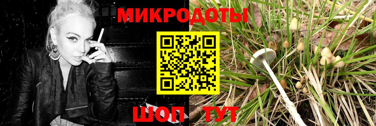 Галлюциногенные грибы ЛСД  Вход с VPN  Псилоцибиновые грибы мухоморы  дарнет шоп  Тимашёвск 